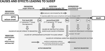 Causes and Effects Contributing to Sudden Death in Epilepsy and the Rationale for Prevention and Intervention